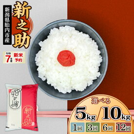 【ふるさと納税】新米予約 令和7年産 米 新之助 5kg 10kg 定期便 選べる 1回 3回 6回 12回 3ヶ月 6ヶ月 12ヶ月 新潟 精米 白米 お米 新潟県胎内市産ちょっと贅沢な新之助（中条農産）