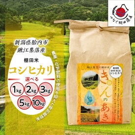 【ふるさと納税】新米 令和7年産 米 新潟 こしひかり 選べる 1kg 2kg 3kg 5kg 10kg 新潟県胎内市鍬江集落産 コシヒカリ 棚田米きんのあき 特別栽培米 精米 白米（くわえ棚田振興会）
