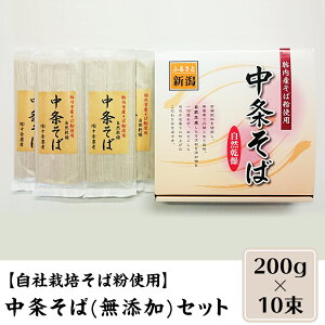 【ふるさと納税】0132 【自社栽培そば粉使用】中条そば(無添加)セット