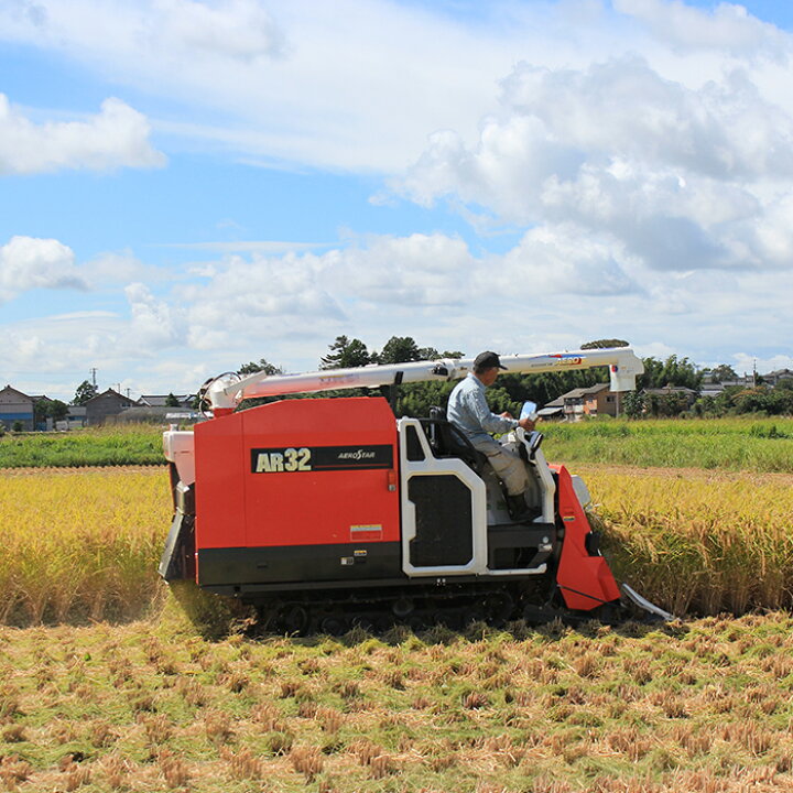 楽天市場 ふるさと納税 米 定期便 5kg 6ヶ月 令和4年 白米 31 056 6ヶ月連続お届け 新潟県産コシヒカリ5kg 新潟県胎内市
