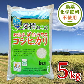 【ふるさと納税】令和5年 無農薬 米 5kg 新潟 コシヒカリ 新潟こしひかり 白米 16-05新潟県胎内産JAS有機合鴨栽培コシヒカリ5kg（精米）