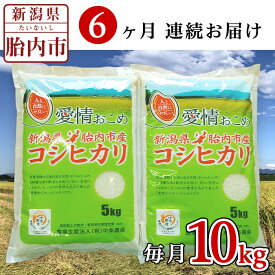 【ふるさと納税】令和5年 米 定期便 6回 10kg 5kg×2袋 新潟 コシヒカリ 新潟こしひかり 白米 16-K106【6ヶ月連続お届け】新潟県胎内市産コシヒカリ10kg（5kg×2袋）