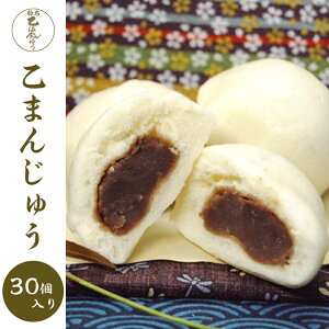 �y�ӂ邳�Ɣ[�Łz35-01���܂񂶂イ30����