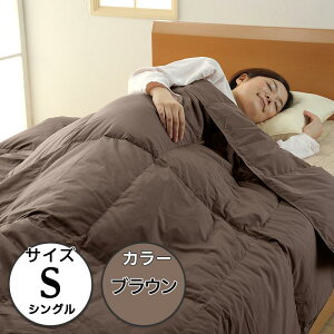 【ふるさと納税】寝具 布団 シングル 洗える 抗菌 高品質 SB-08抗菌防臭洗えるダウンケット【シングル/ブラウン】(日本製)