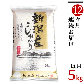 【ふるさと納税】令和5年 米 定期便 5kg 12ヶ月 新潟こしひかり 白米 K512【12ヶ月連続お届け】新潟県産コシヒカリ5kg