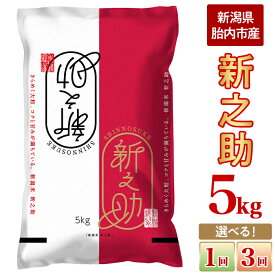 【ふるさと納税】新米 令和7年産 新之助 5kg 米 定期便 選べる 1回 3回 3ヶ月 新潟 精米 白米 お米 新潟県胎内市産 新之助5kg（JA北新潟）