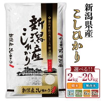 【ふるさと納税】米 無洗米 定期便 2kg 5kg 6kg 8kg 10k...