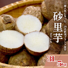 【ふるさと納税】砂里芋 さりいも 3Lサイズ 5kg 里芋 さといも JA北新潟 北新潟農業協同組合 聖籠産 砂里芋（さりいも）3L 5kg【JA北新潟ブランド里芋】2025年10月下旬～順次発送