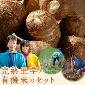 【ふるさと納税】里芋 さといも 米 アイガモ有機米 農薬不使用 化学肥料不使用 JAS認証 合鴨栽培 健康 里芋づくり名人がつくる完熟里芋と有機米のセット