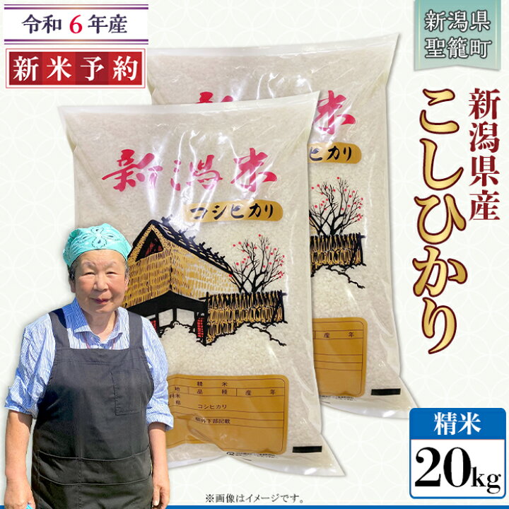楽天市場】【ふるさと納税】令和6年 米 20kg 新潟こしひかり 白米 特別  