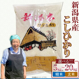 【ふるさと納税】令和7年産 米 新潟県産 コシヒカリ 特別栽培 選べる 精米 玄米 5kg 10kg 20kg 白米 お米 新潟こしひかり【近藤農園】