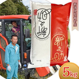 【ふるさと納税】 令和7年 米 新之助 5kg 新潟県産 白米 新潟県聖籠産 新之助 精米5kg（丸傳耕農）