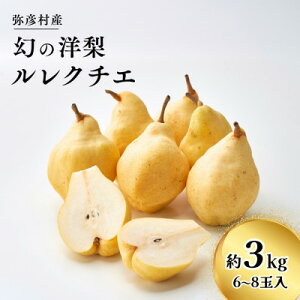 yӂ邳Ɣ[ŁzFY umȂ̋MwlvN`G 6`8(3kg) V F_N`F p i m miV m EN`F v[g VY FYyzsn