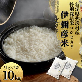 【ふるさと納税】令和7年産特別栽培米コシヒカリ 伊彌彦米 10kg(5kg×2袋)新潟県産 精米 弥彦村_ お米 米 コシヒカリ こしひかり 白米 精米 伊彌彦米 10kg ご飯 新潟県産 新潟 ふるさと 【1006486】
