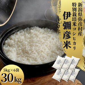 �y�ӂ邳�Ɣ[�Łz�ߘa7�N�Y���ʍ͔|�ăR�V�q�J���u�ɜ\�F�āv �V�����Y ���� ��F�� 5kg/10kg/30kg�yG1006486�z