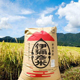 【ふるさと納税】【令和7年産・皇室献上米 伊彌彦米コシヒカリ】玄米30kg　(2018年新嘗祭献上) 新潟県 弥彦村_特別栽培米弥彦コシヒカリ 新潟県産 白米 玄米 げんまい お米 こしひかり こめ コメ 30キロ 特別栽培米コシヒカリ 弥彦村産【1053536】