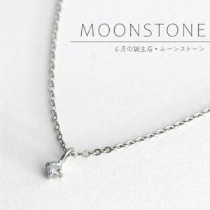 yӂ邳Ɣ[Łz`^[Xg[̈ꗱ΃y_g a lbNX ϐFɂ Mtg V FyzsnFꌧzy1289008z