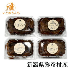 yӂ邳Ɣ[ŁzVFY@ẑ 炰(250g×4pbN)_͔|Ԓ_sgp̂ЂTCY 傫 H vv 炰 ؎ LNQ ̂ LmR 