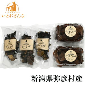 yӂ邳Ɣ[ŁzVFY@ẑ @炰250g×2A炰25g×3@lߍZbg_͔|Ԓ_sgp̂ЂTCY 傫 H vv 炰 ؎ 