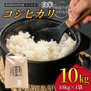 �y�ӂ邳�Ɣ[�Łz�V������F���Έ�_���@�ߘa7�N�Y�R�V�q�J���y���� 5kg / 10kg�z�yG1508845�z