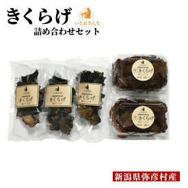 【ふるさと納税】国産 きくらげ 越のうさぎ 詰め合わせ セット ( 生きくらげ 250g×2 ・ 乾燥きくらげ 25g×3 ) | 栽培期間中農薬不使用 手のひらサイズ 大きい 肉厚 木耳 キクラゲ プリプリ食感 きのこ 産地直送 お取り寄せ グルメ 送料無料 新潟県 弥彦村 いとおさんち