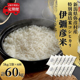 【ふるさと納税】 新潟県産 コシヒカリ 10kg 定期便 6回 特別栽培米 伊彌彦米 10キロ (5kg×2袋) × 6ヶ月 新米 先行予約 令和8年産 新潟 米 | こしひかり お米 こめ コメ 白米 精米 いやひこまい ブランド米 ギフト 贈答 贈り物 新潟県 弥彦村 ふるさと納税協力会(ST)