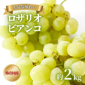 【ふるさと納税】先行予約 ぶどう ロザリオビアンコ 2kg 皮ごと食べられる | ロザリオ・ビアンコ 家のこだわりの逸品 2キロ 葡萄 ブドウ 果物 フルーツ 甘い 上品な甘み 贈答用 ご褒美 家庭用 ギフト 贈り物 プレゼント お取り寄せ 新潟県 弥彦村 弥彦アグリセンター