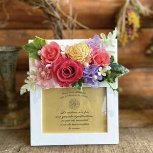 花 の フレームの人気商品 通販 価格比較 価格 Com 花 の フレームの人気商品 通販 価格比較 価格 Com