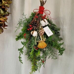 yӂ邳Ɣ[ŁzXmas ō XbO yԁzV  ނ琶ԓX LbgbG ܂ CeAO[ hCt[ 蕨 Mtg  vU NX}X v[