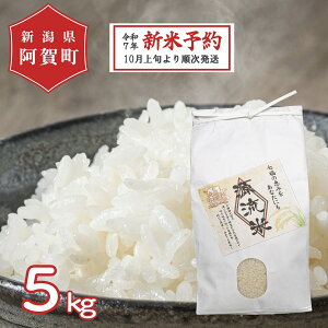 yӂ邳Ɣ[Łz sVė\t  5kg VY RVqJ ߘa7NY    | ̌b Ђ      2025N10{菇