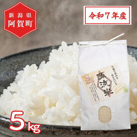 【ふるさと納税】 米 5kg 新潟県産 コシヒカリ 令和7年産 阿賀 上川 源流米 | 七福の恵 こしひかり 白米 精米 送料無料 お取り寄せ お米