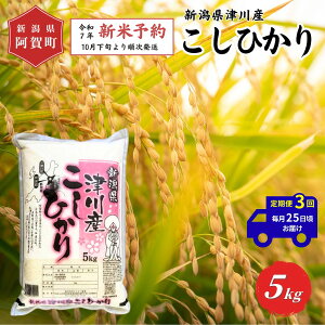 yӂ邳Ɣ[Łz ss\t3  5kg VY uÐY RVqJv ߘa7NY 5kg × 1 |   Ђ    2025N10{菇
