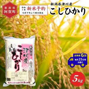 yӂ邳Ɣ[Łz ss\t6  5kg VY uÐY RVqJv ߘa7NY 5kg × 1 |   Ђ    2025N10{菇