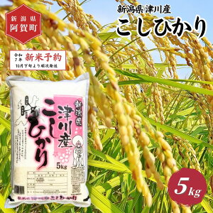 yӂ邳Ɣ[Łz sVė\t  5kg VY uÐY RVqJv ߘa7NY 5kg × 1 |   Ђ    2025N10{菇
