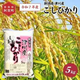 【ふるさと納税】 《コシヒカリ 新潟県 津川産》 米 5kg 新潟県産 コシヒカリ 令和7年 新米 5kg × 1袋 | 白米 精米 こしひかり 送料無料 お取り寄せ お米