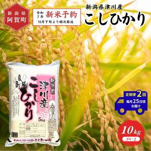 yӂ邳Ɣ[Łz ss\t2  10kg VY uÐY RVqJv ߘa7NY 5kg × 2 |   Ђ    2025N10{菇
