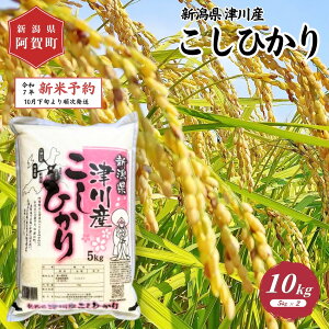 yӂ邳Ɣ[Łz sVė\t  10kg VY uÐY RVqJv ߘa7NY 5kg × 2 |   Ђ    2025N10{菇
