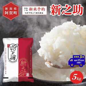 yӂ邳Ɣ[Łz ss\t3  5kg VY uÐY VVv ߘa7NY 5kg × 1 |   ̂    2025N10{菇