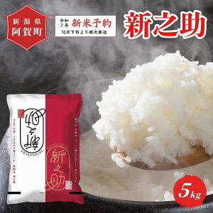 yӂ邳Ɣ[Łz sVė\t  5kg VY uÐY VVv ߘa7NY 5kg × 1 |   ̂    2025N10{菇