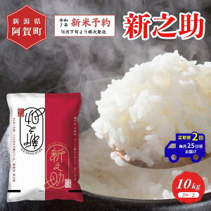 yӂ邳Ɣ[Łz ss\t2  10kg VY uÐY VVv ߘa7NY 5kg × 2 |   ̂    2025N10{菇