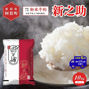 yӂ邳Ɣ[Łz ss\t6  10kg VY uÐY VVv ߘa7NY 5kg × 2 |   ̂    2025N10{菇