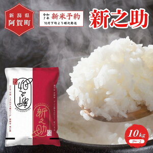 yӂ邳Ɣ[Łz sVė\t  10kg VY uÐY VVv ߘa7NY 5kg × 2 |   ̂    2025N10{菇