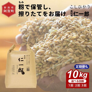 �y�ӂ邳�Ɣ[�Łz �� 10kg �V�����Y �R�V�q�J�� �ߘa7�N�Y ������ �m��Y 5kg×2�� �I�ׂ�z���� 1�� 2�� 3��| �����Ђ��� ���� ���� ����� �������� ������ ����