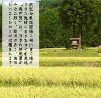 アイテムID:495322の画像2枚目
