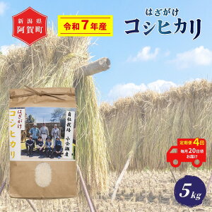 yӂ邳Ɣ[Łz 4  5kg VY RVqJ ͂| V ߘa7NY z㉜Y |  ͂ Ђ ꓙ     