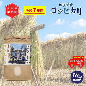 yӂ邳Ɣ[Łz 4  10kg VY RVqJ ͂| V ߘa7NY z㉜Y 5kg×2 |  ͂ Ђ ꓙ     