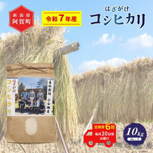 yӂ邳Ɣ[Łz 6  10kg VY RVqJ ͂| V ߘa7NY z㉜Y 5kg×2 |  ͂ Ђ ꓙ      