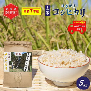 �y�ӂ邳�Ɣ[�Łz �������4�� ���� 5kg �V�����Y �R�V�q�J�� �͂��|�� �V������ �ߘa7�N�Y �z�㉜����Y | ��� �͂����� �����Ђ��� �ꓙ�� �������� ������ ����