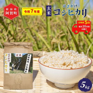 yӂ邳Ɣ[Łz 5  5kg VY RVqJ ͂| V ߘa7NY z㉜Y |  ͂ Ђ ꓙ   