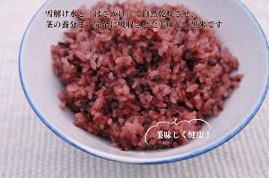 yӂ邳Ɣ[ŁzG  VY  Ñ  200g × 5 Zbg 